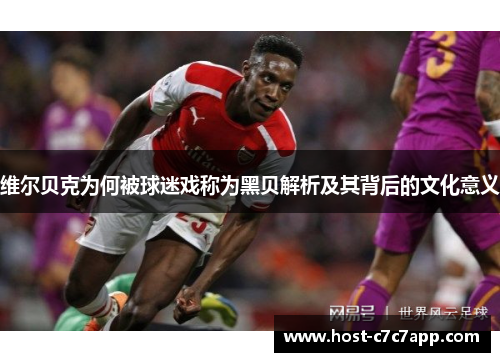 维尔贝克为何被球迷戏称为黑贝解析及其背后的文化意义