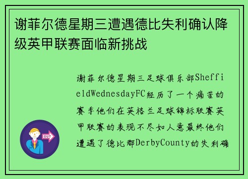 谢菲尔德星期三遭遇德比失利确认降级英甲联赛面临新挑战